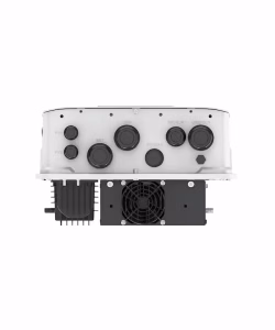 Producto 90 - Imagen 4